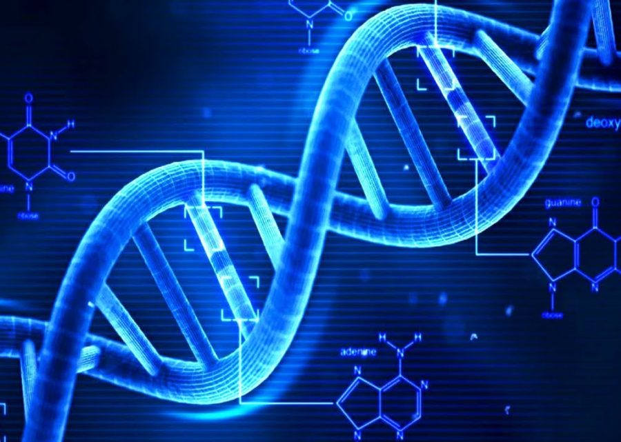 gene editing, DNA, crispr