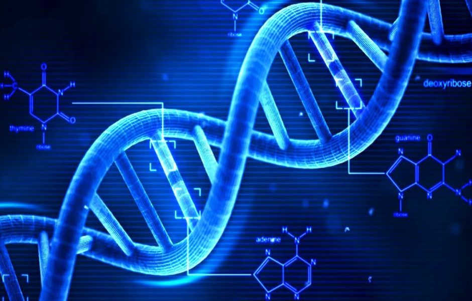 gene editing, DNA, crispr