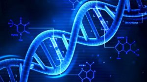 gene editing, DNA, crispr